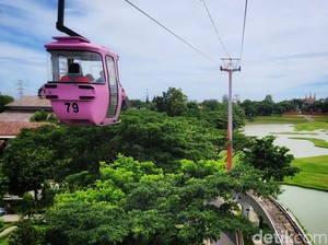 Naik Kereta Gantung, Pengalaman Ngegantung 20 Meter Lihat View dari Atas