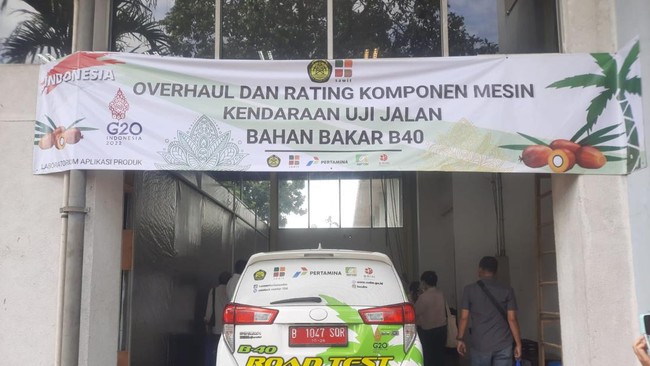 RI Punya Energi Alternatif Pengganti BBM-LPG, Ini Sumbernya