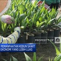 BPDPKS Dorong Pemanfaatan Kebun Sawit Lebih Luas