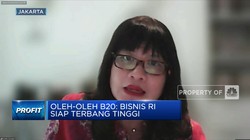Oleh-oleh B20: Bisnis RI Siap Terbang Tinggi