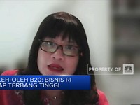 Oleh-oleh B20: Bisnis RI Siap Terbang Tinggi