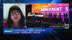 Selain Transisi Energi, B20 Fokus Kesehatan Global dan UMKM