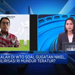 Kalah di WTO Soal Gugatan Nikel, Hilirisasi RI Mundur Teratur