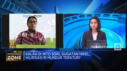 Kalah di WTO Soal Gugatan Nikel, Hilirisasi RI Mundur Teratur