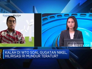 Kalah di WTO Soal Gugatan Nikel, Hilirisasi RI Mundur Teratur
