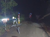 PLN Berupaya Pulihkan Listrik Terdampak Gempa Cianjur