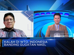 Kalah di WTO, Indonesia Banding Gugatan Nikel