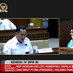 Bos Bulog 'Dikeroyok' DPR Soal Rencana Impor Beras
