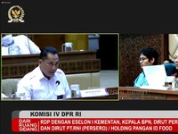 Bos Bulog 'Dikeroyok' DPR Soal Rencana Impor Beras