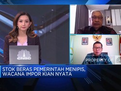 Impor, Solusi Penuhi 1,2 Juta Ton Cadangan Beras Pemerintah?