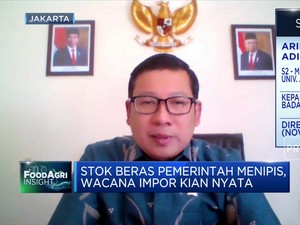 Stok Beras Pemerintah Menipis, Wacana Impor Kian Nyata?