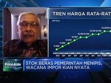 Video: Waspada Cadangan Beras Bulog Menipis! Apa Solusinya?