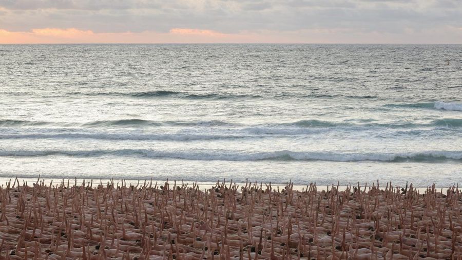 People stand naked as part of artist Spencer Tunick's art installation to raise awareness of skin cancer and encourage people to have their skin checked, at Bondi Beach in Sydney, Australia, November 26, 2022.  REUTERS/Loren Elliott  EDITORIAL USE ONLY.