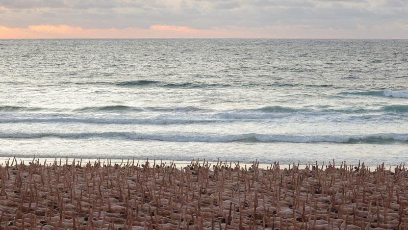 People stand naked as part of artist Spencer Tunick's art installation to raise awareness of skin cancer and encourage people to have their skin checked, at Bondi Beach in Sydney, Australia, November 26, 2022.  REUTERS/Loren Elliott  EDITORIAL USE ONLY.