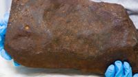 “Mysterious 4.6 Billion-Year-Old Meteorite Discovered in Australia’s Maryborough Regional Park”