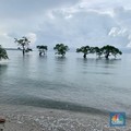 Kisah Penambang Pasir Alor: Banting Setir Pasca Ditegur Alam