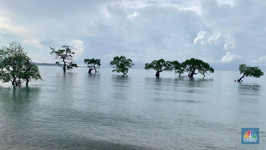 Pantai Tongke Lima, Alor Barat, Nusa Tenggara Timur. (CNBC Indonesia/ Maikel Jefriando)