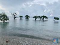Kisah Penambang Pasir Alor: Banting Setir Pasca Ditegur Alam