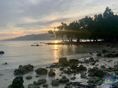 Ngeri! Suhu Turun Drastis di Laut Alor, Ikan-Ikan Mendadak Pingsan