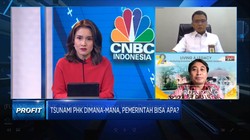 Video: Tsunami PHK, Ini Sektor Utama Yang Harus Diselamatkan