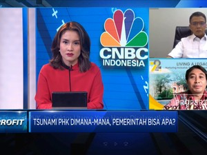 Video: Tsunami PHK, Ini Sektor Utama Yang Harus Diselamatkan