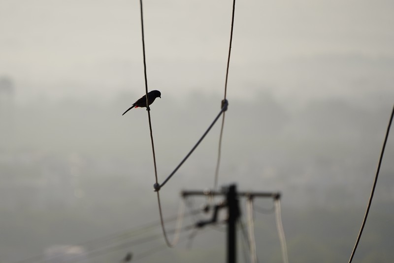 Lapisan kabut asap menyelimuti kota Ajmer, India pada 28 November 2022. (Himanshu Sharma/NurPhoto via Getty Images)