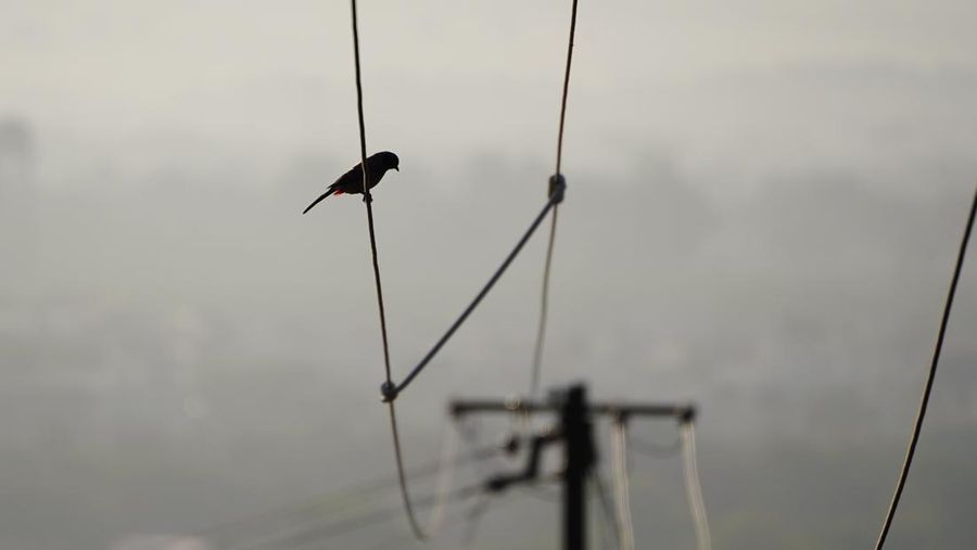 Lapisan kabut asap menyelimuti kota Ajmer, India pada 28 November 2022. (Himanshu Sharma/NurPhoto via Getty Images)