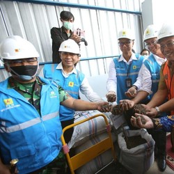 PLN dan Pemkot Cilegon Berkolaborasi Bangun Pabrik Biomassa