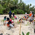Rajin Tanam Pohon, PLN Berhasil Serap Emisi 5,5 Juta Ton CO2