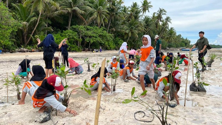 PLN PLN