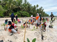 Rajin Tanam Pohon, PLN Berhasil Serap Emisi 5,5 Juta Ton CO2