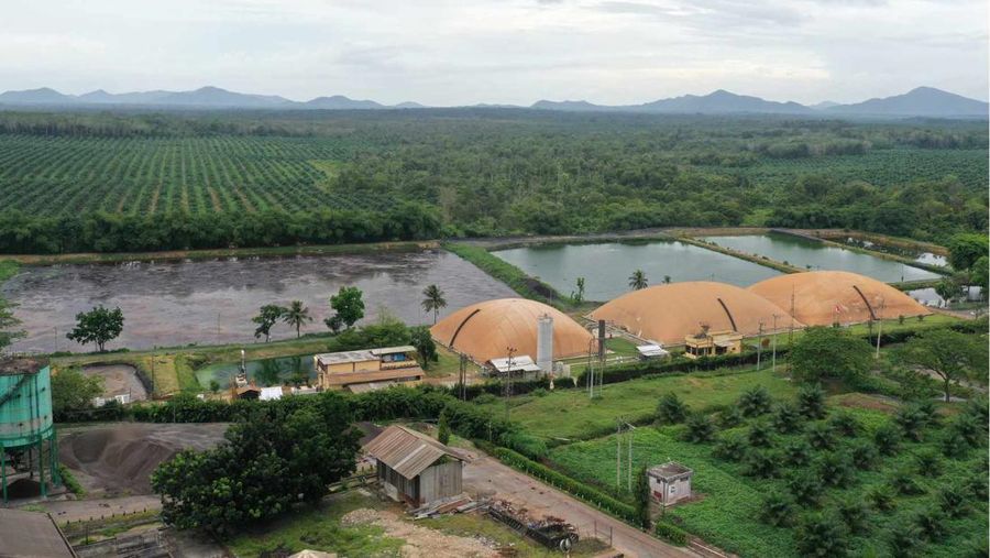 PT Austindo Nusantara Jaya Tbk (ANJ)