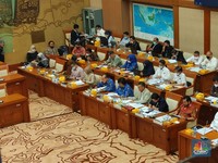 Komisi VII DPR Panggil Siti Nurbaya - Erick Thohir, Ada Apa?