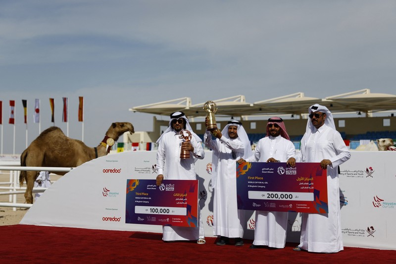 Sepak Bola - Piala Dunia FIFA Qatar 2022 - Kontes Kecantikan Unta - Ash-Shahaniyah, Qatar - 29 November 2022 Unta selama kontes kecantikan. (REUTERS/Suhaib Salem)