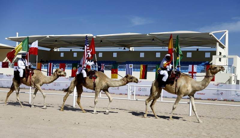 Sepak Bola - Piala Dunia FIFA Qatar 2022 - Kontes Kecantikan Unta - Ash-Shahaniyah, Qatar - 29 November 2022 Unta selama kontes kecantikan. (REUTERS/Suhaib Salem)