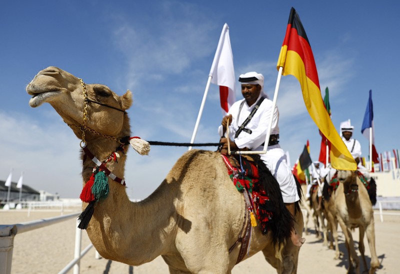Sepak Bola - Piala Dunia FIFA Qatar 2022 - Kontes Kecantikan Unta - Ash-Shahaniyah, Qatar - 29 November 2022 Unta selama kontes kecantikan. (REUTERS/Suhaib Salem)