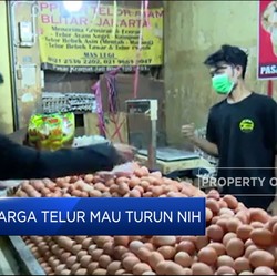 Video: Bun, Harga Telur Mau Turun Nih