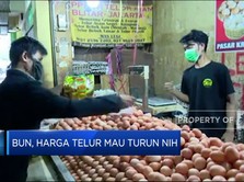 Video: Bun, Harga Telur Mau Turun Nih