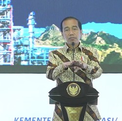 Kalah Gugatan Nikel di WTO, Begini Cara Jokowi Bisa Melawan!