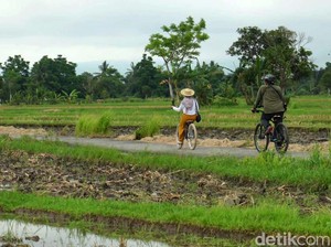 Bilebante, Lombok: Award-Winning Eco Village in Indonesia