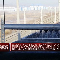 Cetak Rekor Baru! Harga Gas & Batu Bara Reli 10 Hari Beruntun