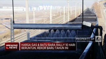 Cetak Rekor Baru! Harga Gas & Batu Bara Reli 10 Hari Beruntun