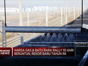 Cetak Rekor Baru! Harga Gas & Batu Bara Reli 10 Hari Beruntun