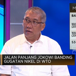 Jokowi Kalah Gugatan Nikel di WTO, Larangan Ekspor Gaspol!