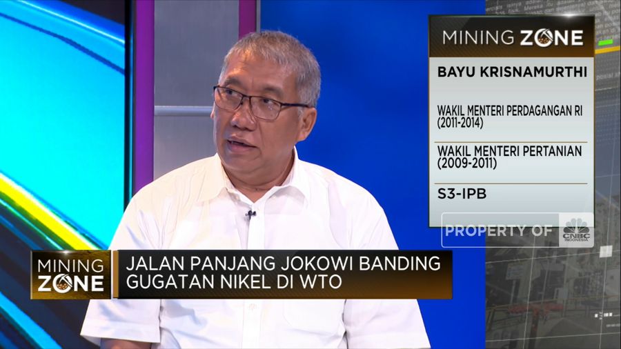 Jalan Panjang Jokowi Banding Gugatan Nikel di WTO, Apa Tantangannya?  (CNBC Indonesia TV)