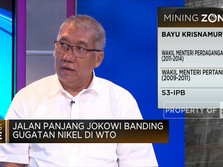 Jalan Panjang Jokowi Banding Gugatan Nikel WTO, Bisa Menang?