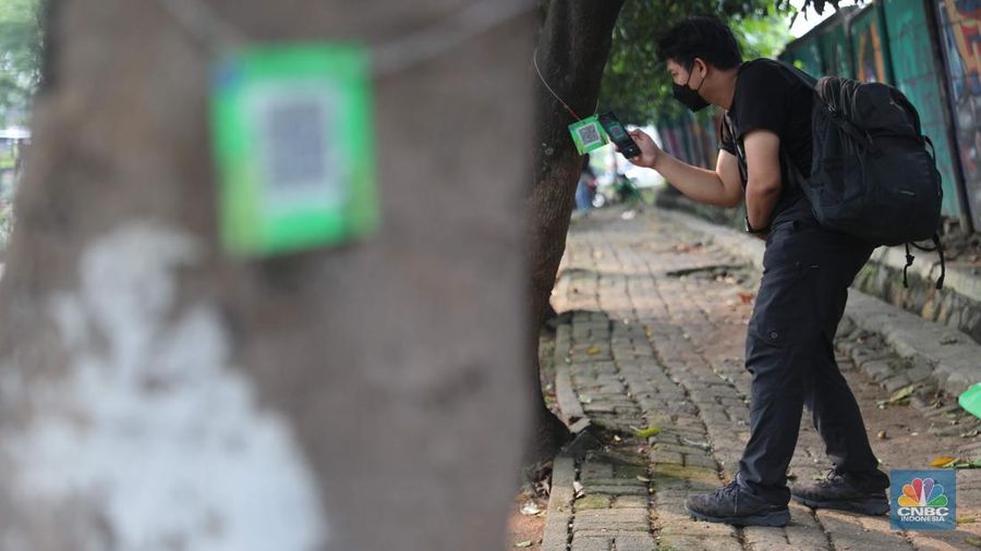 Pemerintah Kota Depok melakukan terobosan baru dalam penggunaan yakni memasangkan QR Code pada pohon. Pemkot menggelontorkan anggaran sebesar Rp49 juta untuk pemasangan QR Code di 1.500 pohon di seluruh jalur utama. (CNBC Indonesia/ Muhammad Sabki)