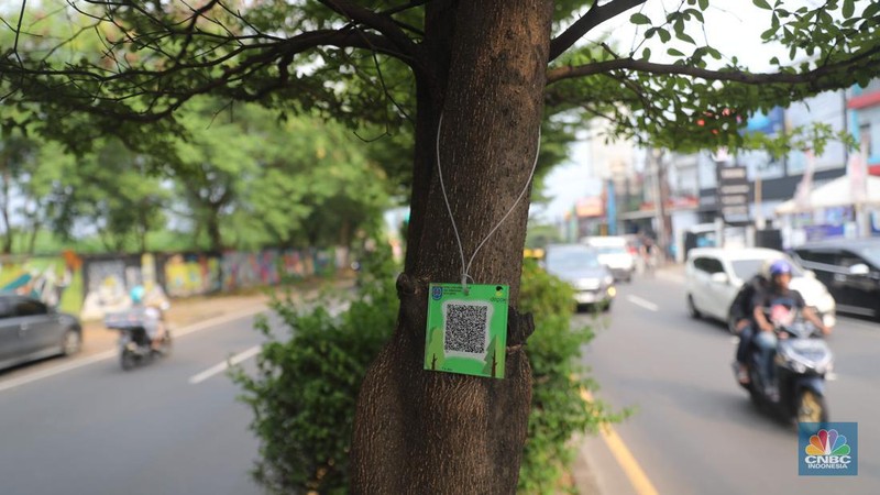 Pemerintah Kota Depok melakukan terobosan baru dalam penggunaan yakni memasangkan QR Code pada pohon. Pemkot menggelontorkan anggaran sebesar Rp49 juta untuk pemasangan QR Code di 1.500 pohon di seluruh jalur utama. (CNBC Indonesia/ Muhammad Sabki)