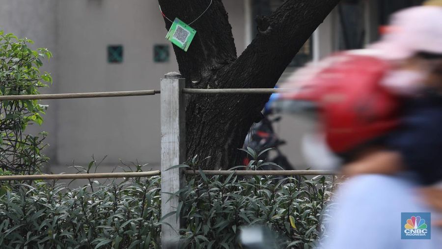 Pemerintah Kota Depok melakukan terobosan baru dalam penggunaan yakni memasangkan QR Code pada pohon. Pemkot menggelontorkan anggaran sebesar Rp49 juta untuk pemasangan QR Code di 1.500 pohon di seluruh jalur utama. (CNBC Indonesia/ Muhammad Sabki)