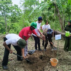 Kisah Elon Musk, BCA 'Sulap' Gunung Lombok Jadi Hutan Durian